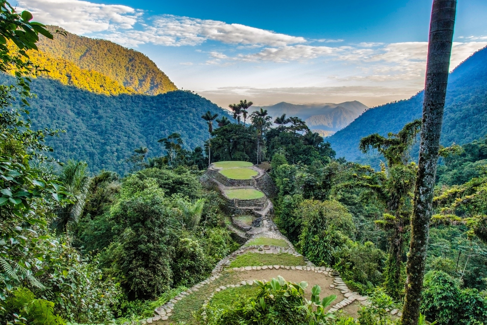 Bogotá|*|Cartagena|*|Medellín|*|Eje Cafetero|*|Tayrona Ulusal Parkı|*|San Agustín|*|Amazon Yağmur Ormanları|*|Cali|*|Villa de Leyva|*|Tatacoa Çölü|*|Su Altı Dünyası