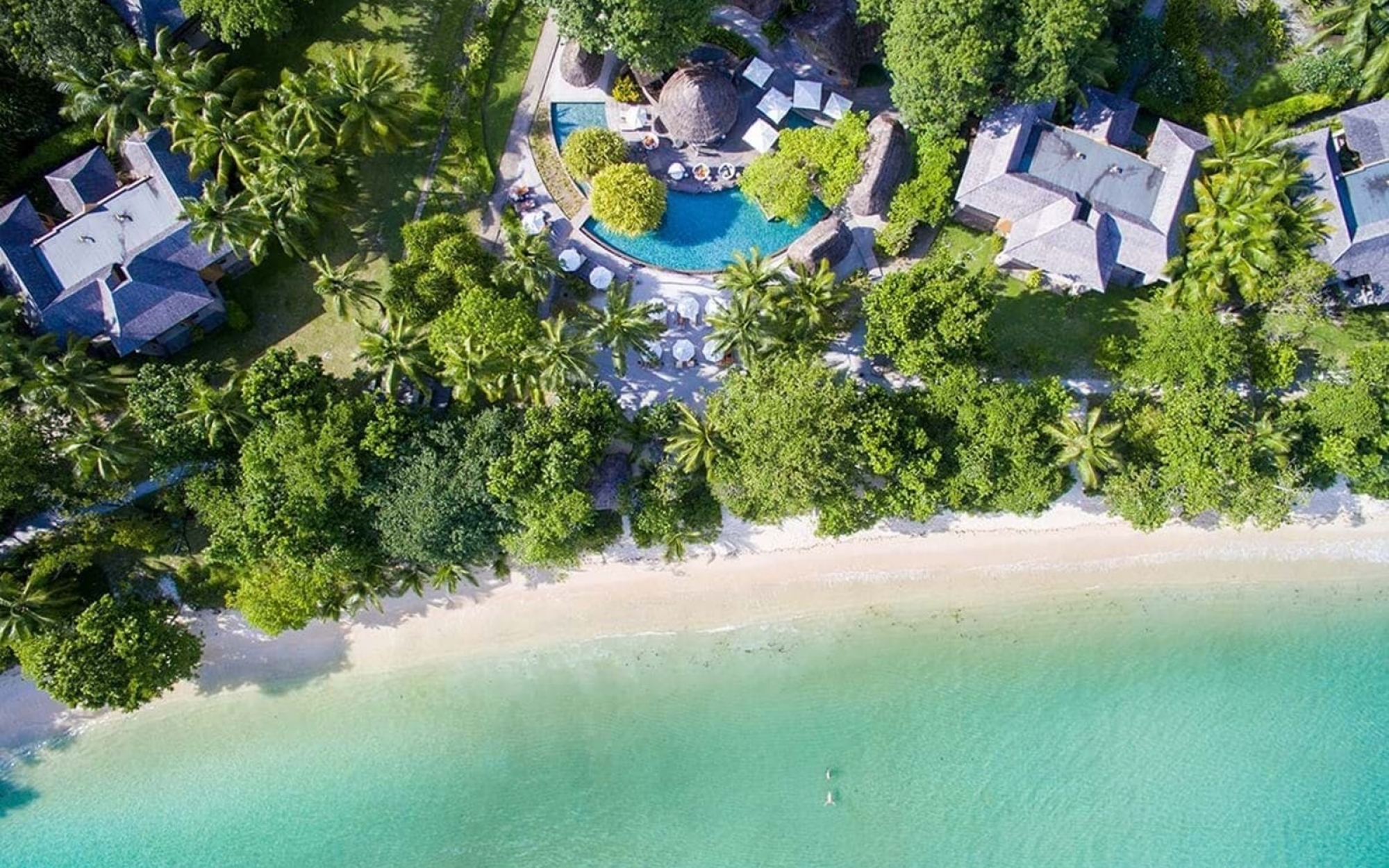 Constance Seyşeller