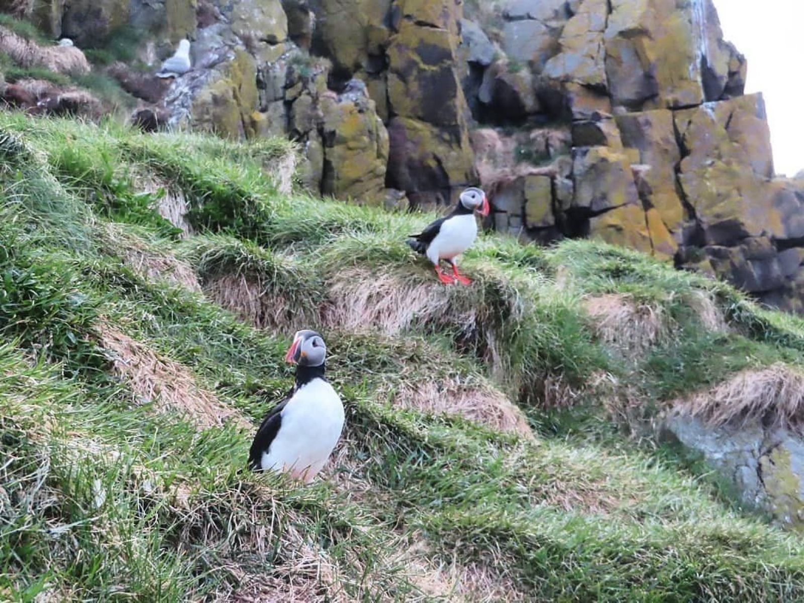 Kuzey & Güney Sicilya 