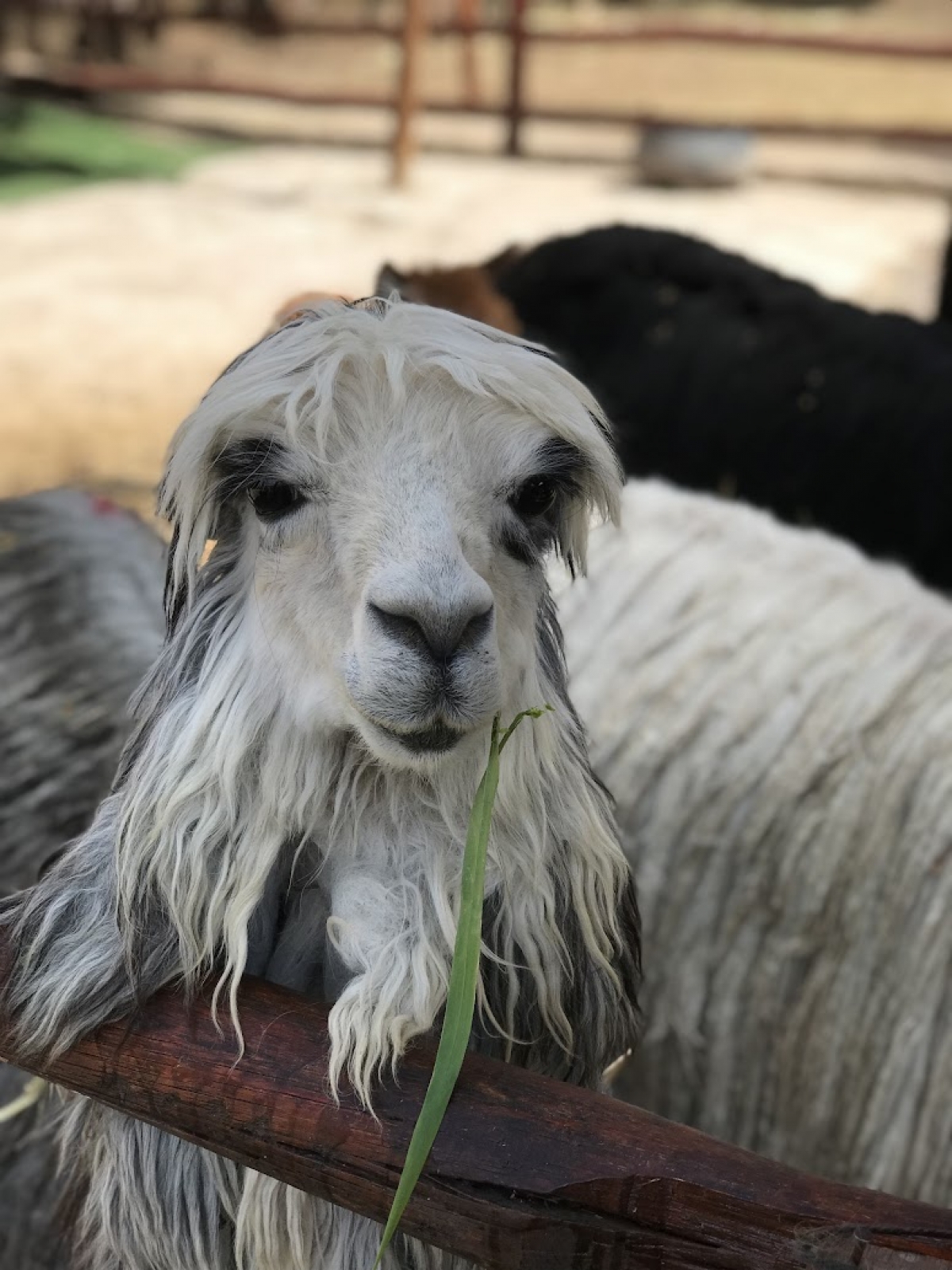Kuzey & Güney Sicilya 