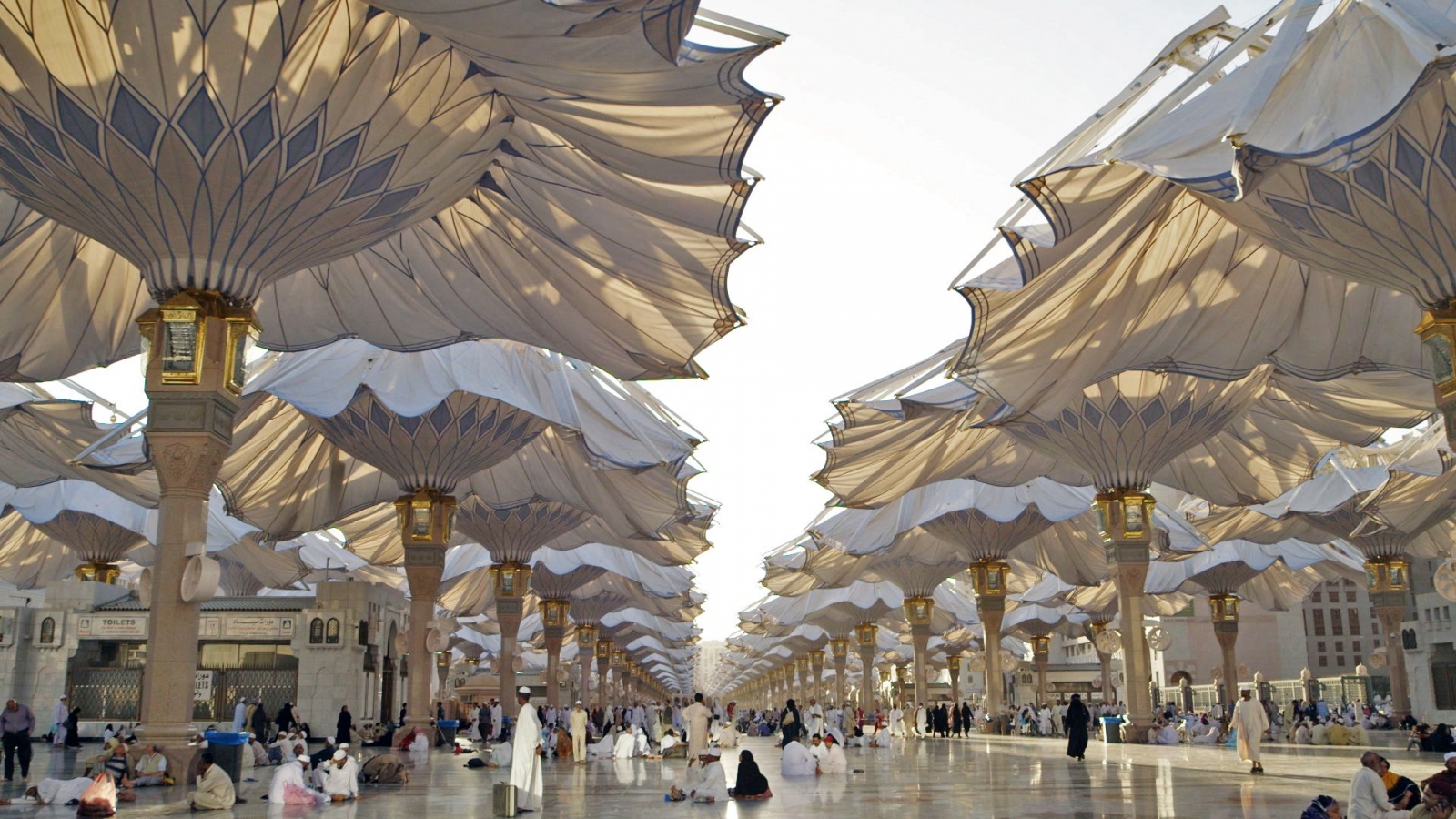 Al Ula |*|Cidde |*|Al Ahsa|*|Dammam|*|Medine|*|Taif 